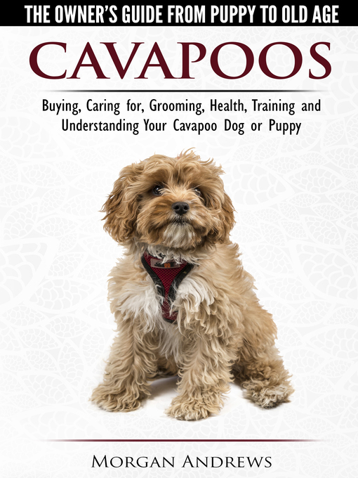 Title details for Cavapoos by Morgan Andrews - Available